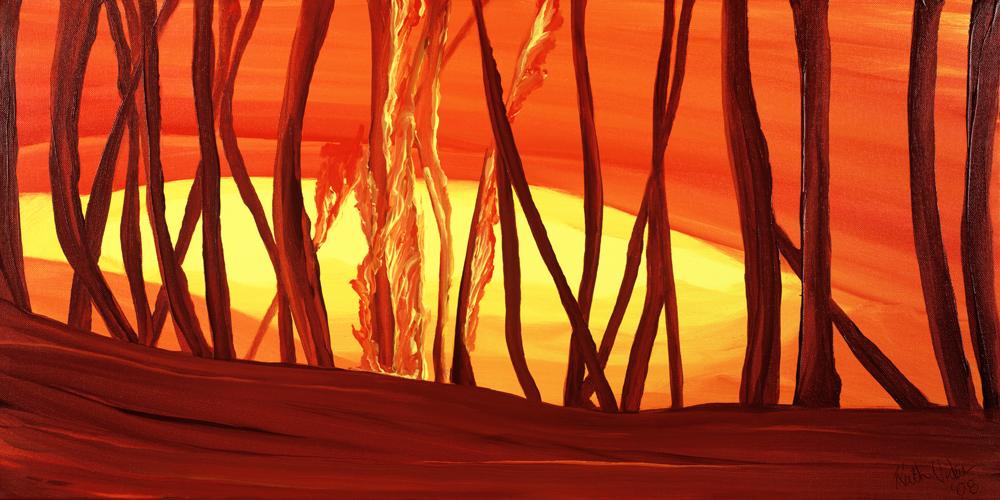 The Land Cries Out